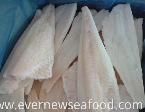 Frozen pacific cod fillets loins